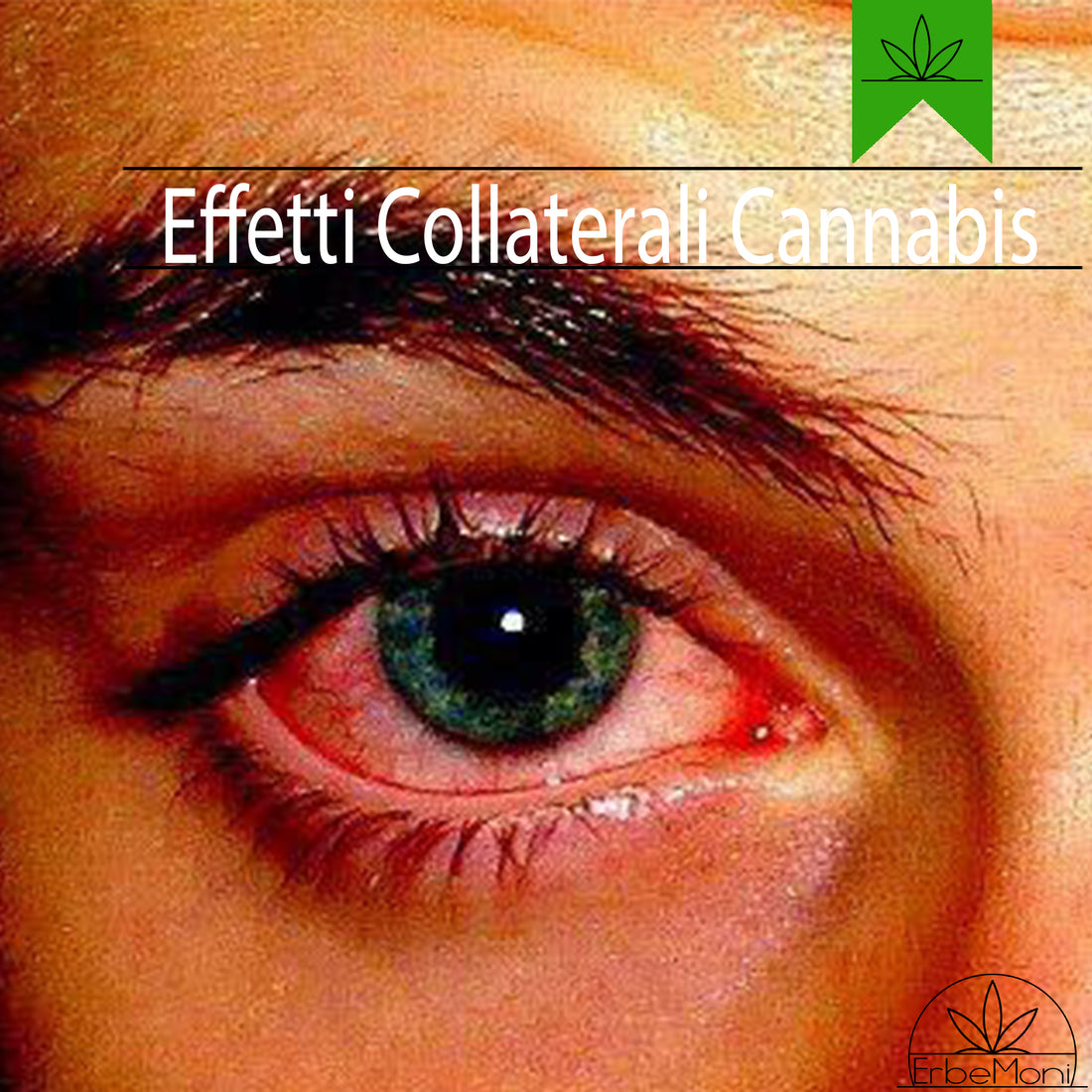 ErbeMoni-BlogMoni-Titold-Cannabis-Light-CBD-Effetti-Collaterali-ErbaLegale