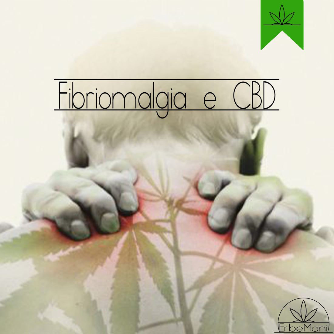 ErbeMoni-BlogMoni-Titold-Cannabis-Light-CBD-Fibriomialgia-Cura-ErbaLegale