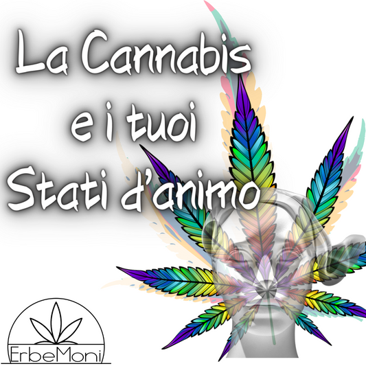 ErbeMoni-BlogMoni-Titold-Cannabis-Light-ErbaLegale-CBD-Cura-Benefici-Hasish-Stati-D'animo
