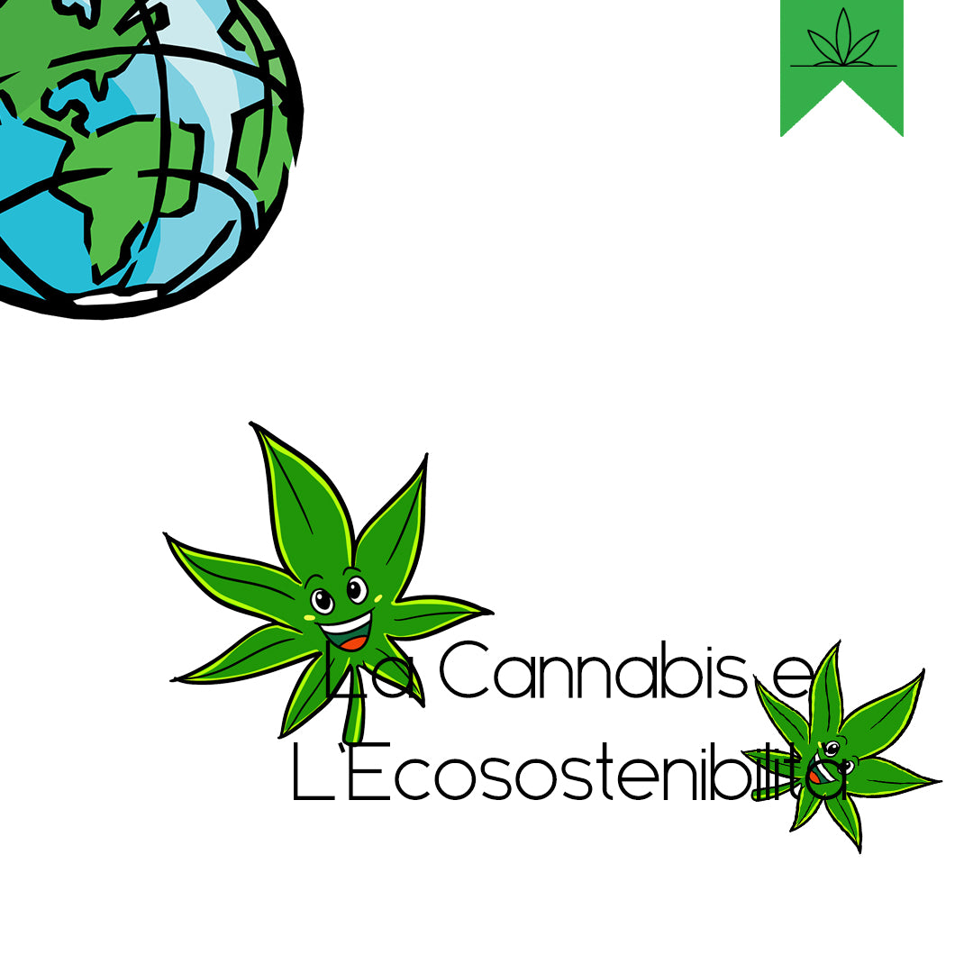cannabis-ecosostenibilità-blogmoni-cbd-erba-legale-info-canapa