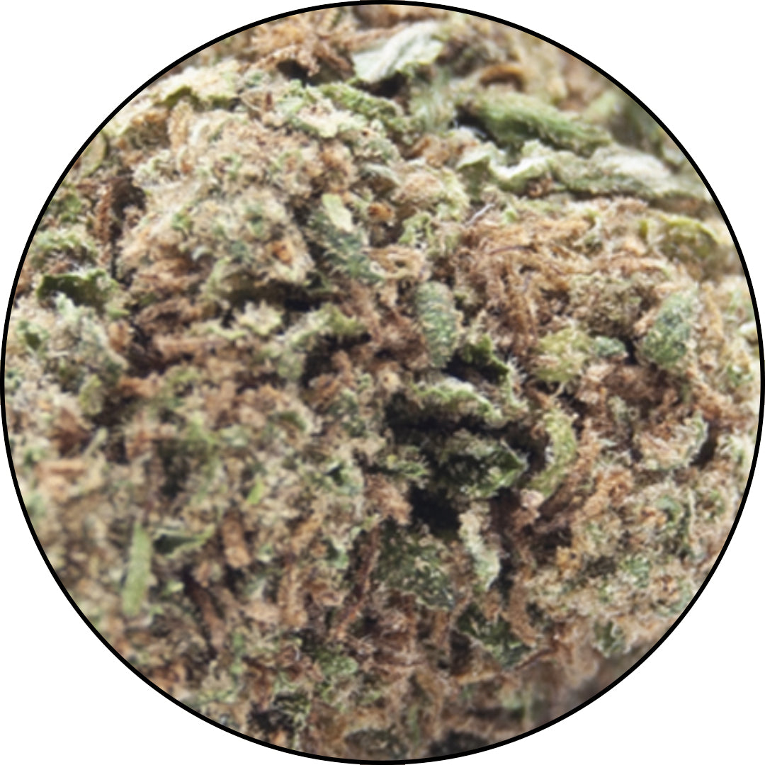    Caramel-Kundy-Cannabis-Light-CBD-Erba-legale-ErbeMoni-1