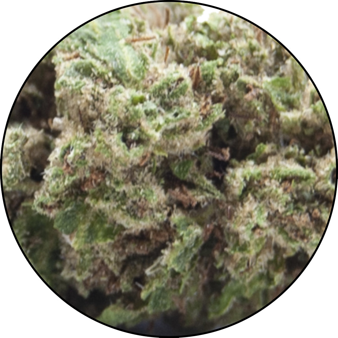 Momo-Skunk-Cannabis-Light-CBD-Erba-legale-ErbeMoni1