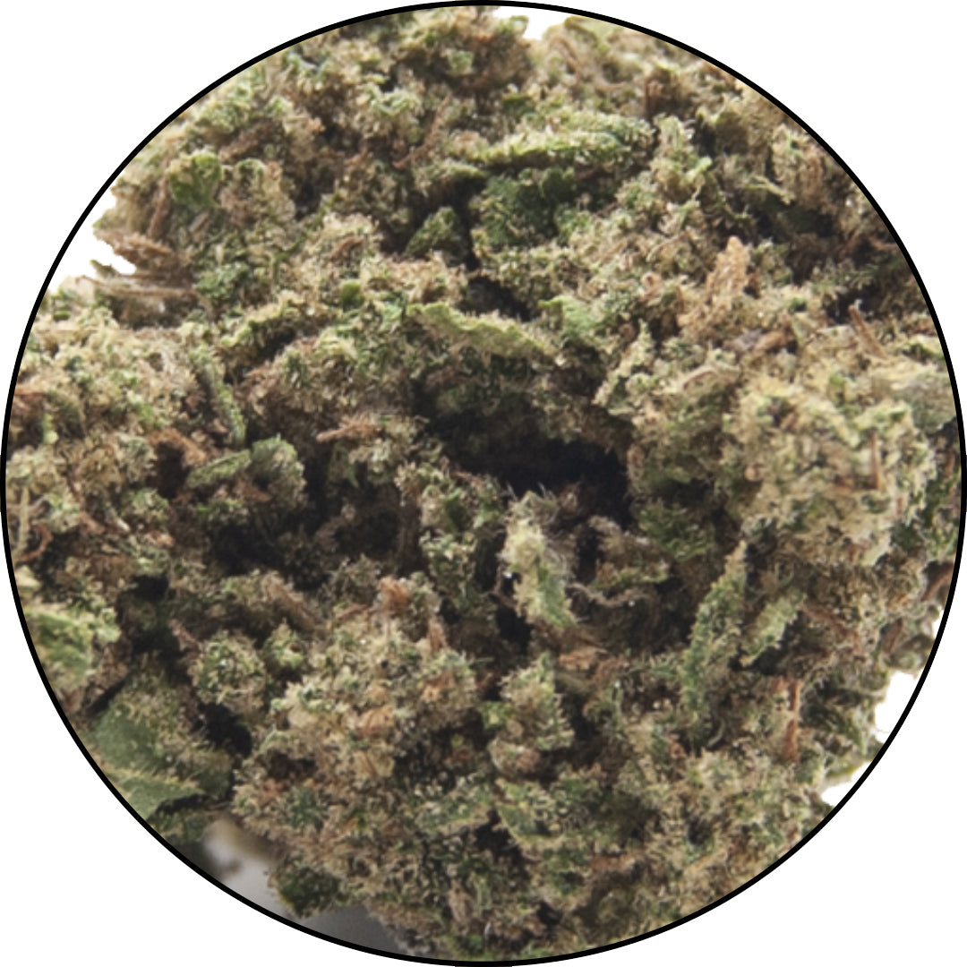 Pineapple-Express-Cannabis-Light-CBD-Erba-legale-ErbeMoni-1