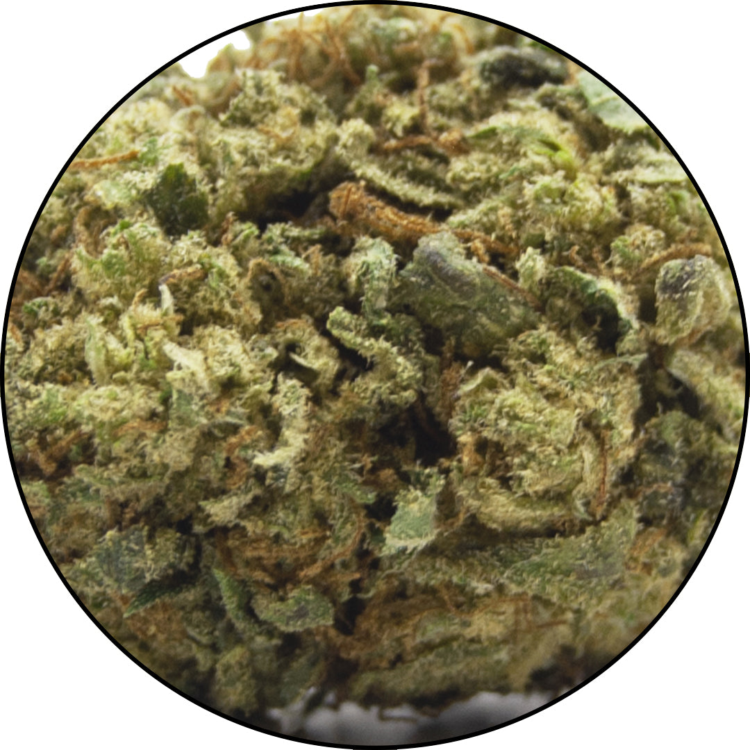    Strawberry-Cannabis-Light-CBD-Erba-legale-ErbeMoni-1